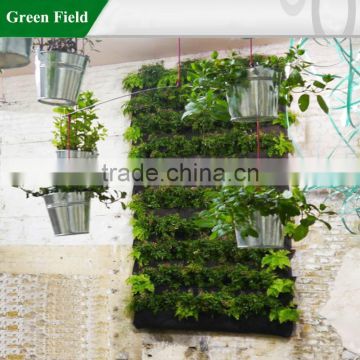 Green Field wholesale hydroponics