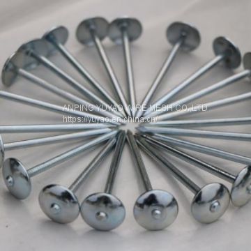 big head zinc roofing nails made in china