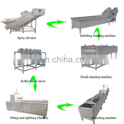 China Popular Fruit Processing Equipment Apple Slices Drying Machine Dryer Made In China