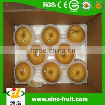Chinese Fengshui Pear fresh fruit names of all dry fruits of 2014