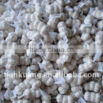 chinese pure white garlic