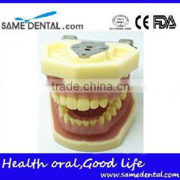 Dental Eduction Assitant No. DEA-06