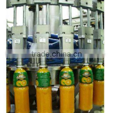 Fruit Juice bottle Filling Machine /juice filling machinery