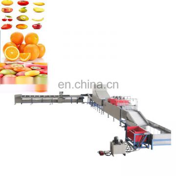 High Efficiency Electronic Tomato Washing Waxing and Sorting Equipment