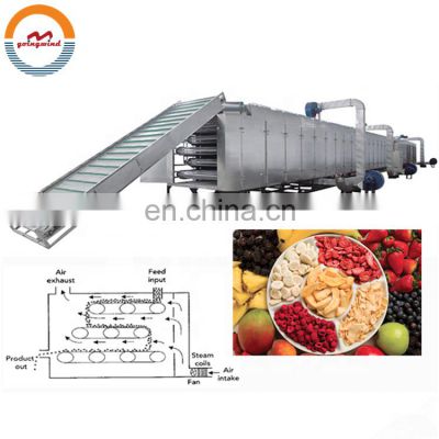 Automatic fruit conveyor dehydrator machine auto continous vegetable belt dryer equipment cheap price for sale