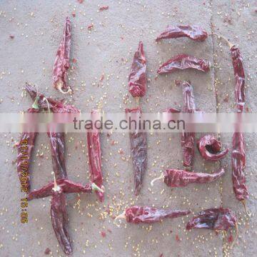 dried chili pepper