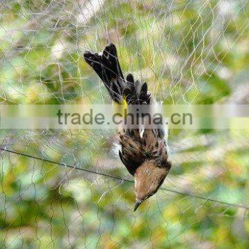 Offer anti bird net