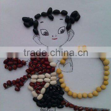 Adzuki Bean( 2010 crop,heilongjiang origin, Hps ,Polished)