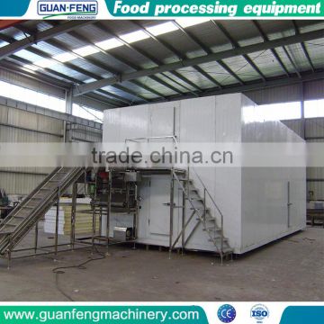 High quality factory price Fluidized Iqf Machine freeze dryer china
