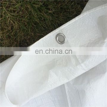 High density polyethylene mesh fabric clear woven plastic white tarpaulin