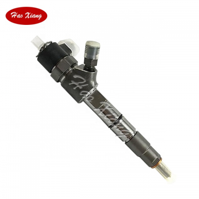 Haoxiang Common Rail Injectors Diesel  Fuel Diesel Injector Nozzles  0445110416  0445110417 For Bosch