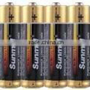 digitial camera alkaline battery aa