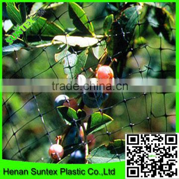 Supply 2016 100% virgin pe extruded knotless with UV stabilized Black garden bird netting for blueberry bushes
