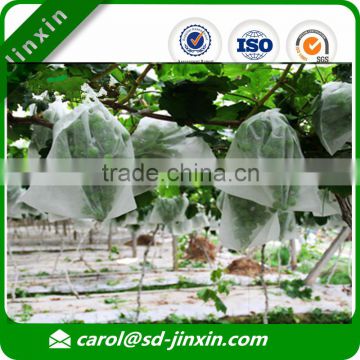 Thin or Thick Grape protection bag/grape bag/fruit protection bag/nonwoven fruit cover in best selling items