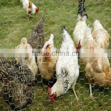 Galvanised Chicken Wire Fencing Hexagonal Wire Mesh for Farming