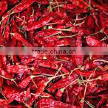 Dried Red Hot Chilli