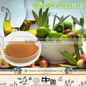 Best Price Olive Leaf Extract 20%Oleuropein from China Manufacturer