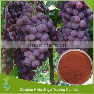 2015 hot selling grape seed extract powder