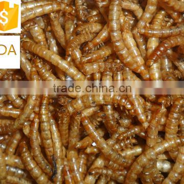 Chicken Feed Dried Mealworm, Wild Bird Food Mealworm