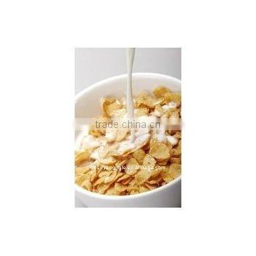 Corn Flakes/corn chips food processing line o