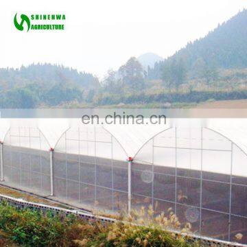 China Low Price Hydroponic Greenhouse Plastic Film Greenhouse/Garden Greenhouse for sale