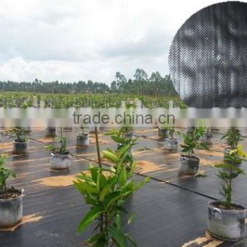high quality low price woven polypropylene ground cover