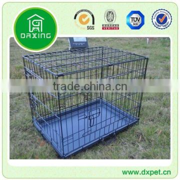 Dogs and Puppies for Sale DXW003