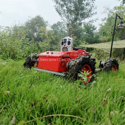 remote control slope mower, China robot slope mower price, remote control mower on tracks for sale
