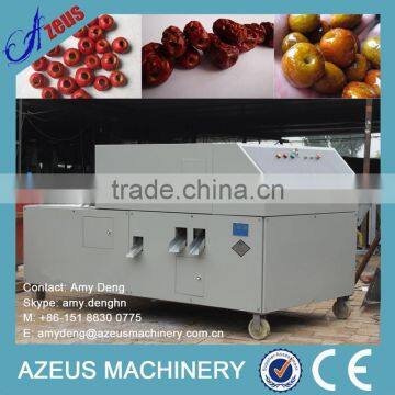 Industrial Fruit Pitting Machine/Plum Pitting Machine
