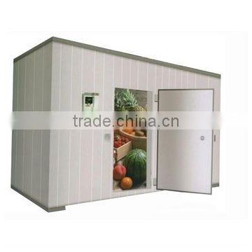 frozen cold storage room for meat