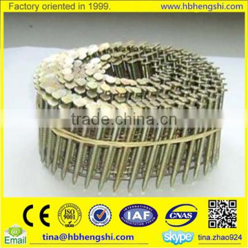 Various types of size galvanized pallet coil nails, pallet roofing coil nails