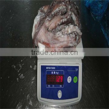 high quality seafood and clean flowered frozen octopus