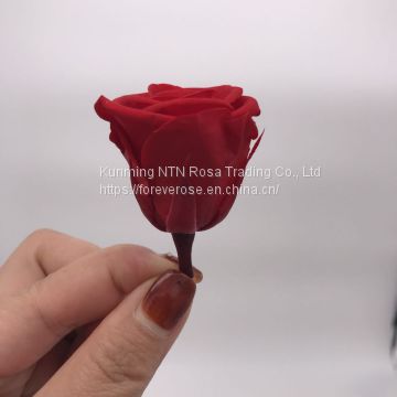 Wholesale3-4cm elegant real touch preserved rose flower
