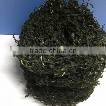 Good Price High Quality Machine Dried Sea Kelp Cut