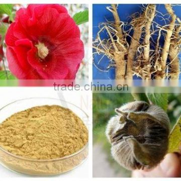 Marshmallow Extract Powder 10:1, 20:1 Herbal Extract