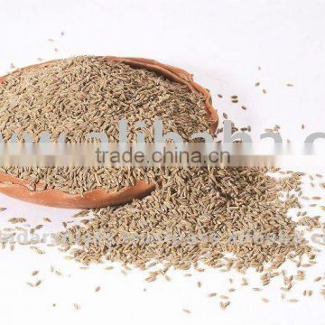 Indian Origin Cumin Seeds