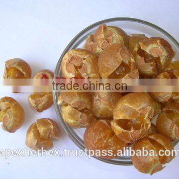 Soap nut Pods/ Soapnut Powder