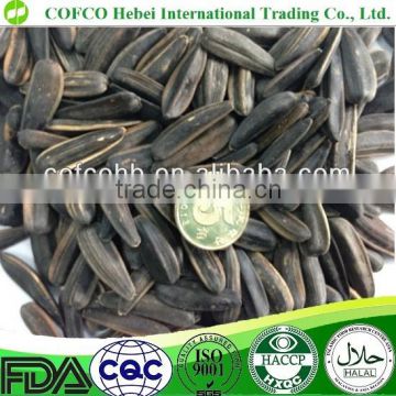 Fried ripe BLACK SHELLsunflower seeds with all flavors