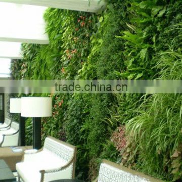 factory price new designed high quality artificial plant wall/outdoor green plants