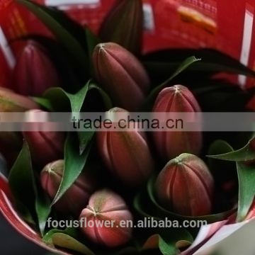 High quality fresh cut Pink Lily Robina flowers Kunming from China supplier