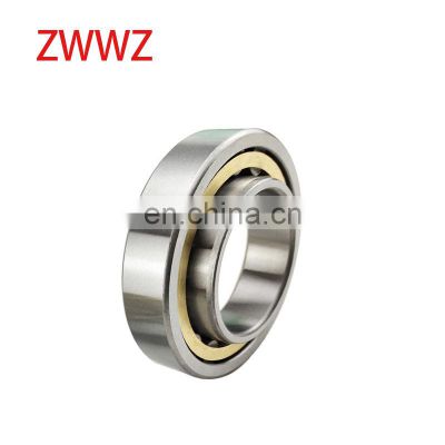 Rn219 Cylindrical Roller Bearing