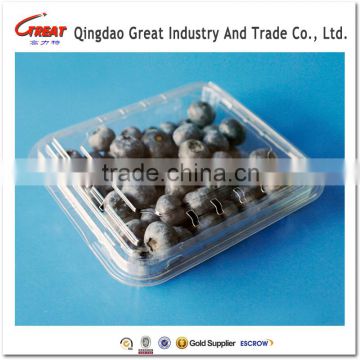 Fruit Plastic Packaging Container Blueberry Clamshell