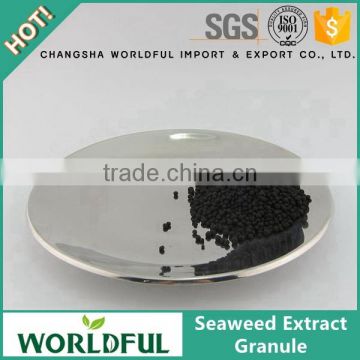 Advanced nutrients hydroponic seaweed extract granule for vegetable
