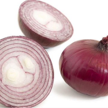 Quality Onion Quality Wholesale Prices Red Onion Fresh Onion Price