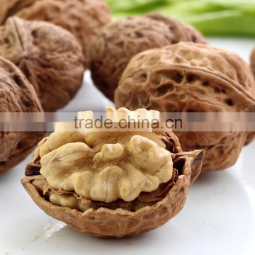 Natural Dried Walnut Nut