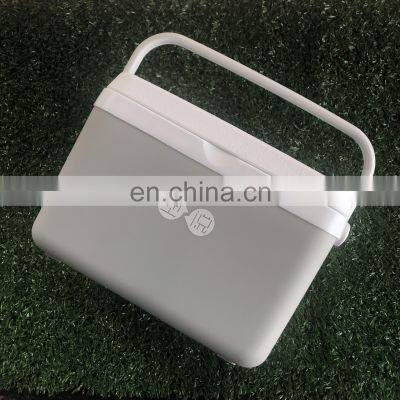 Customize Color Plastic Mini Ice Box Portable Ice Storage Picnic Food Fresh Cooler Box