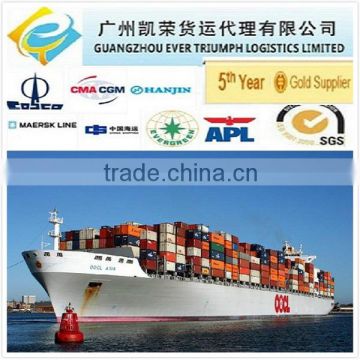 Cheap Sea freight from Guangzhou/Shenzhen/Shanghai China to Italy