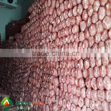 High quality and Anti-cancer wholesale dried shiitake mushroom