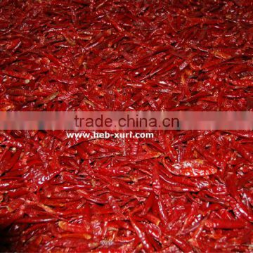 dry red small chilli