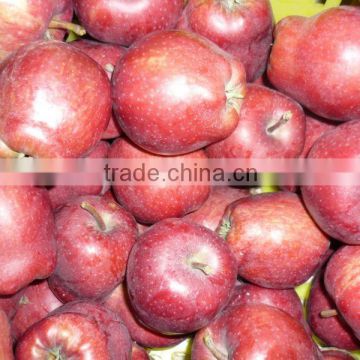 washington red delicious apple 2015